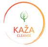 KazaHealthSystems logo